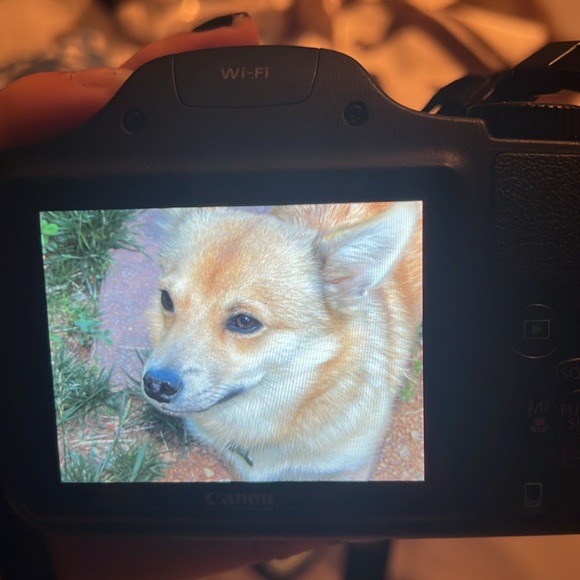 Canon powershot SX530 HS - Picture 7 of 7